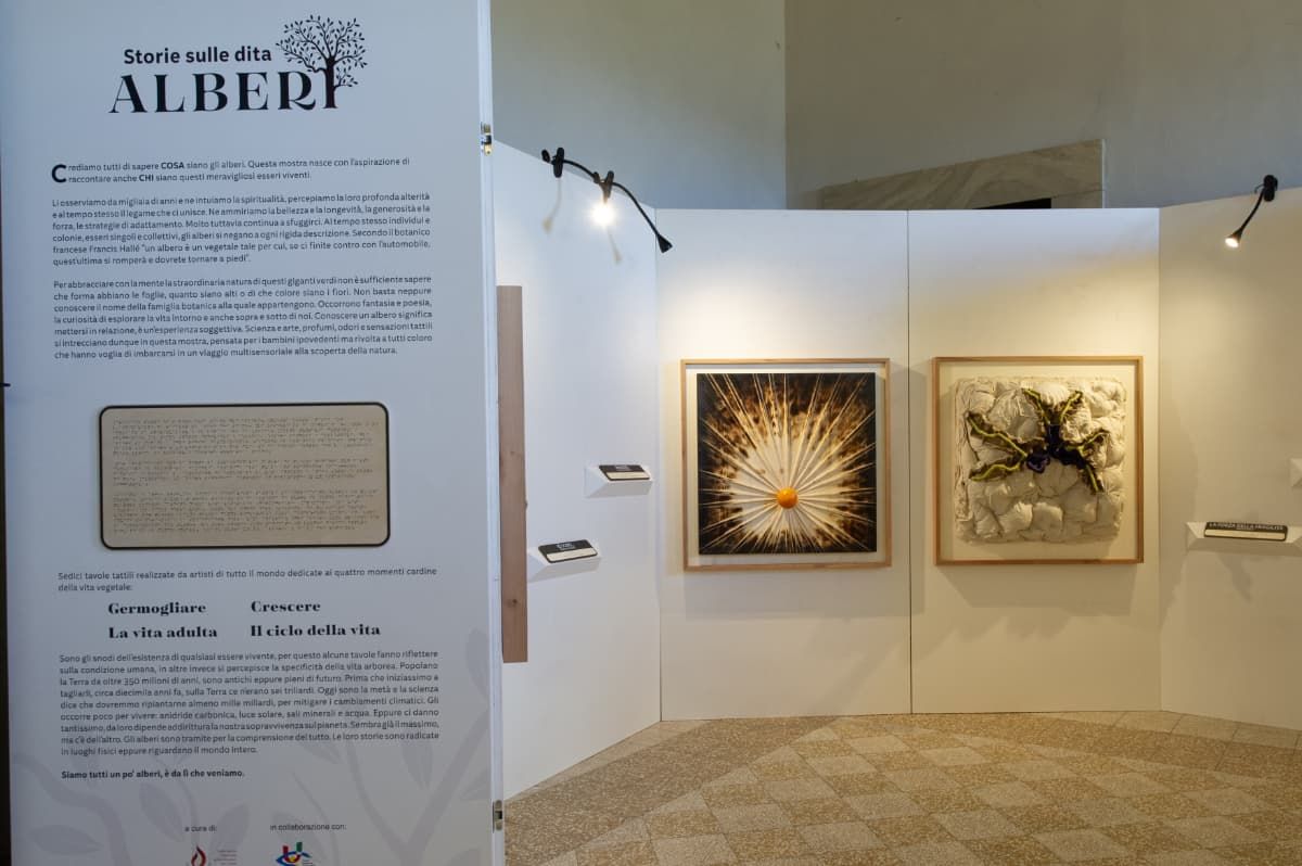 La mostra "Storie sulle dita: Alberi" allo SPAZIO PRESENTE di Ancona