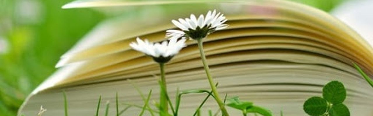 La quattordicesima edizione di Un Prato di Libri e gli eventi accessibili