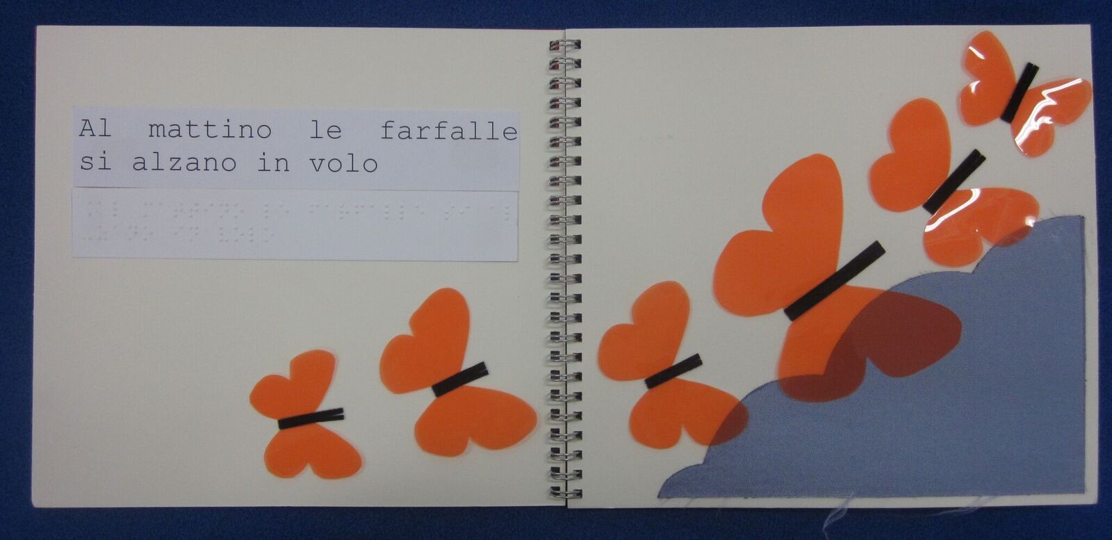 TOCCA A TE! Aperto il bando per il settimo Concorso Nazionale di editoria tattile illustrata