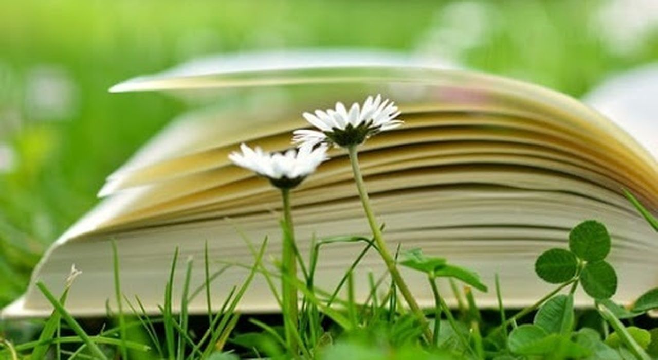 La quattordicesima edizione di Un Prato di Libri e gli eventi accessibili