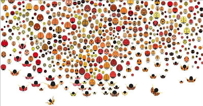 Dal Silent Book al Silent Circus.  A Como e Pavia letture animate e giochi per tutti durante Bookcity 2025